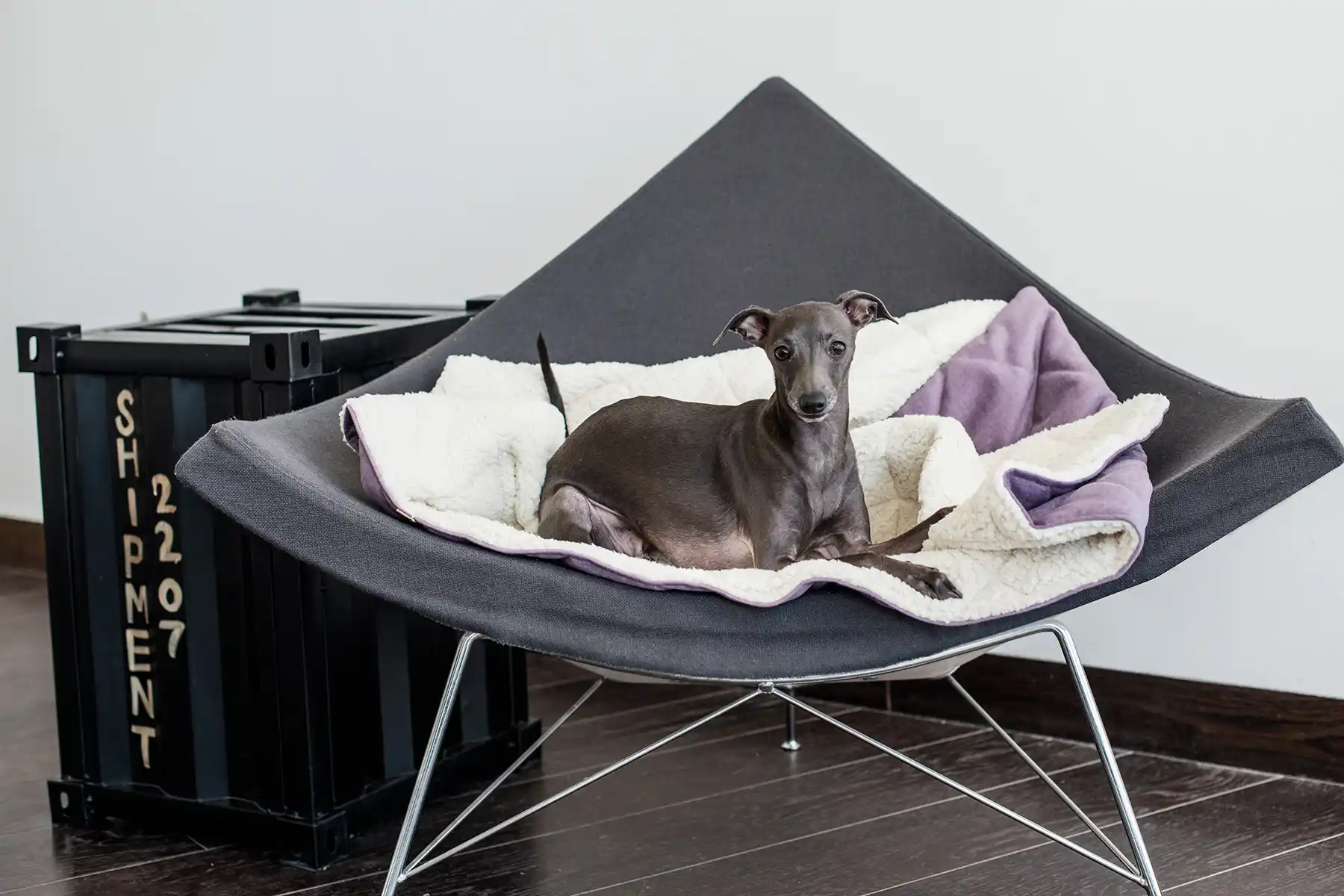 spiworek dla psa dreamy liliowy