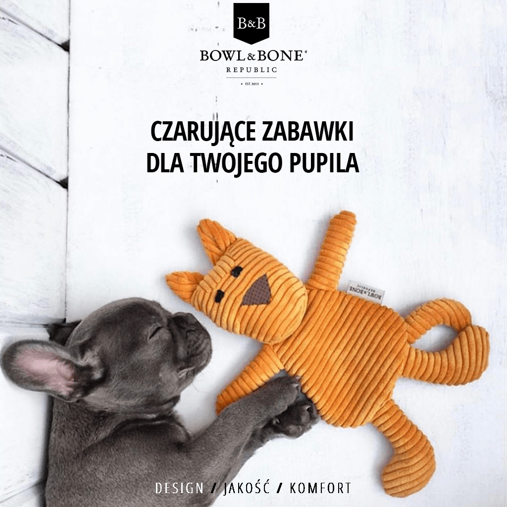 zabawka dla małego pieska