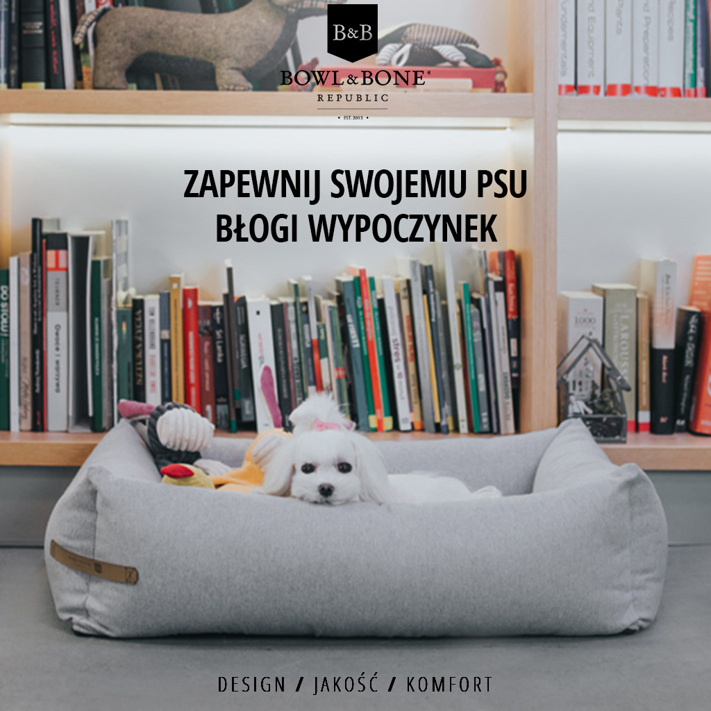 legowisko loft szare dla psa