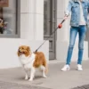 pies idzie z opiekunką na spacer z przyczepioną saszetką