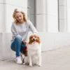 pies z opiekunką na spacerze z przyczepioną saszetką